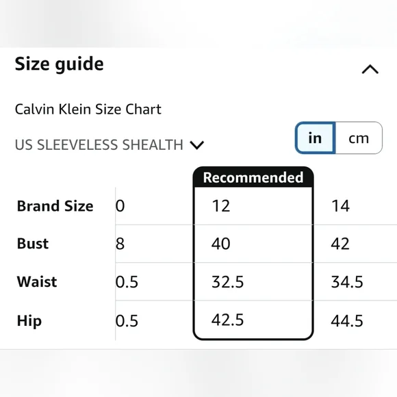 Calvin Klein | 12 | Sleeveless Black Dress with Gold Zipper - Picture 9 of 10